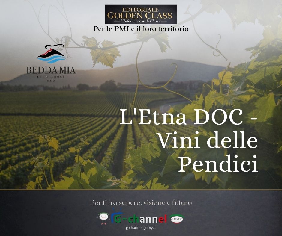 L'Etna DOC: Il Vino delle Pendici Vulcaniche